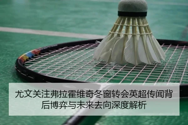 尤文关注弗拉霍维奇冬窗转会英超传闻背后博弈与未来去向深度解析（cc7c7.app）